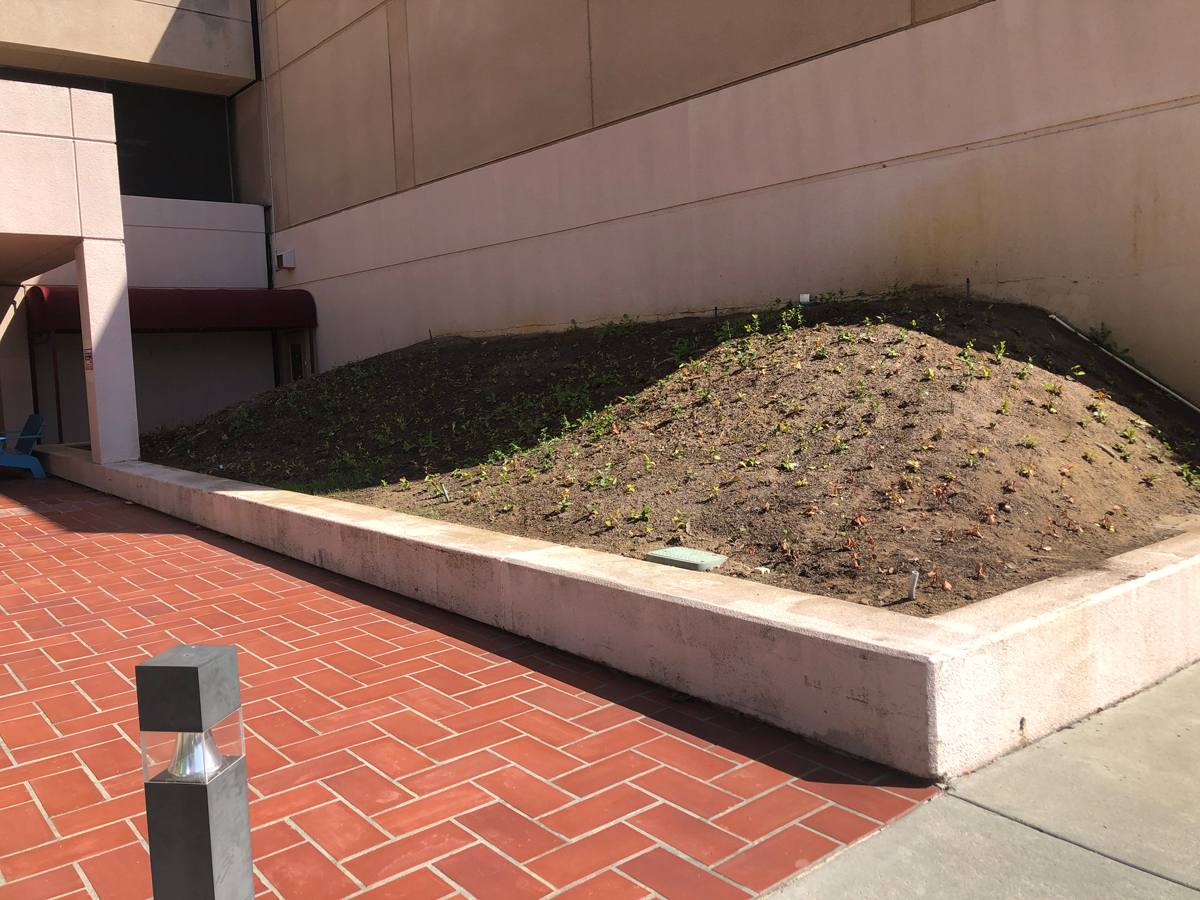 Palomar Health Before
